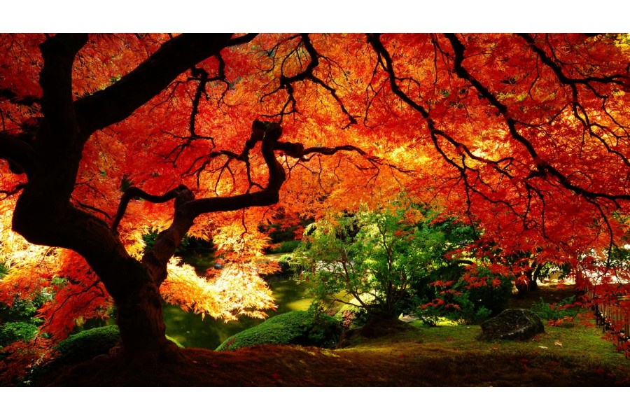 Primera noticia de prueba